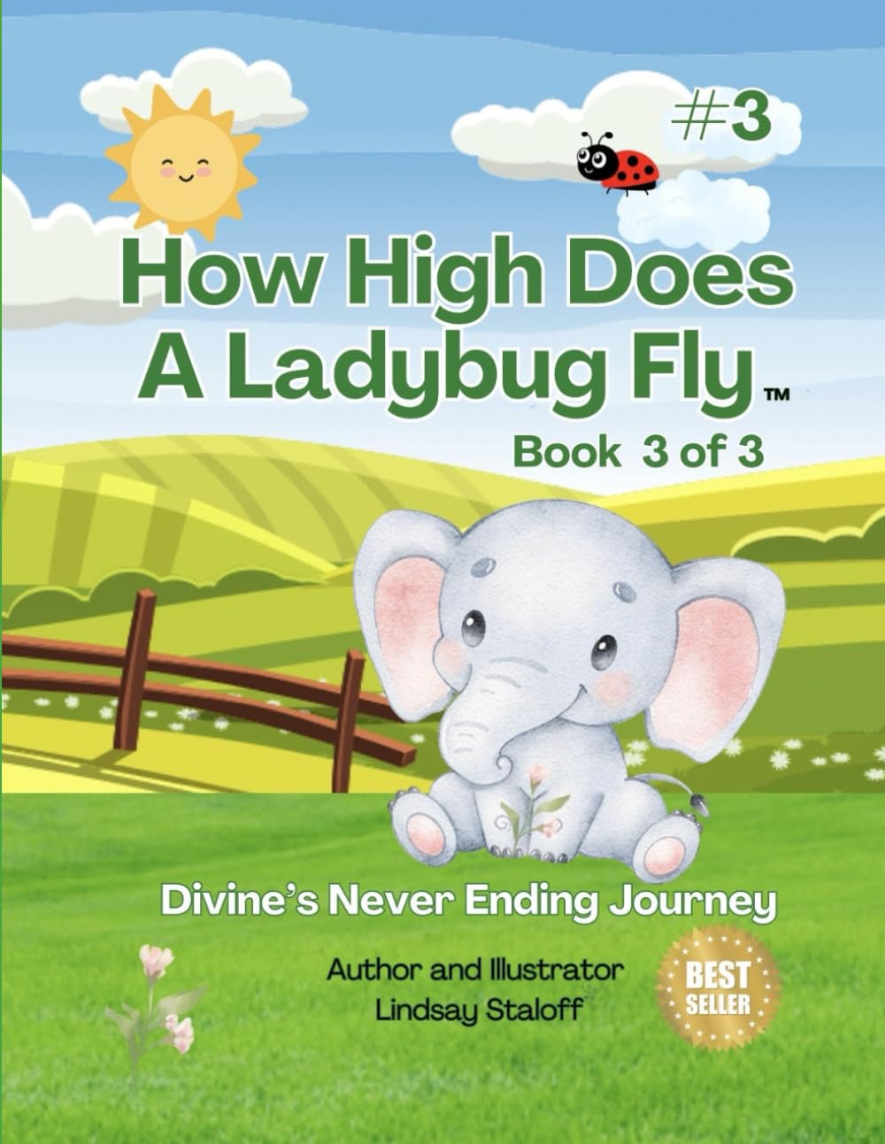 How High Does A Ladybug Fly: Book 3 of 3 (Mini Series): Book 3 of 3 (Mini Series) (Divine’s Never Ending Journey)