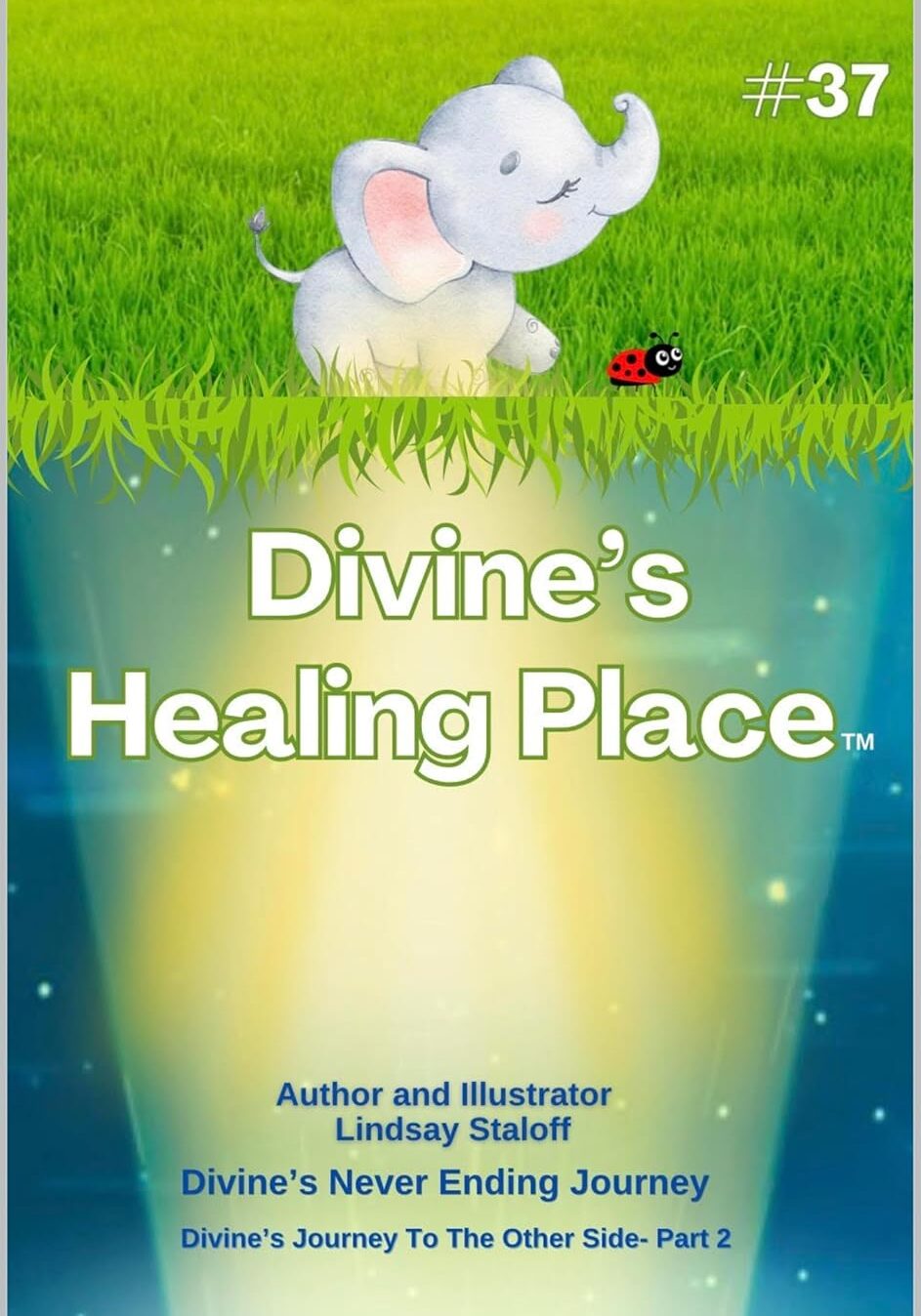 Divine's Healing Place (Divine’s Never Ending Journey Book 71)